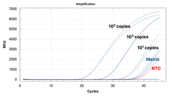 맞춤형 RCV 키트 성능 개선 전 예시 이미지