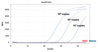 맞춤형 RCV 키트 성능 개선 후 예시 이미지